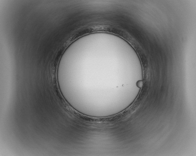 X0000112940737200908241006