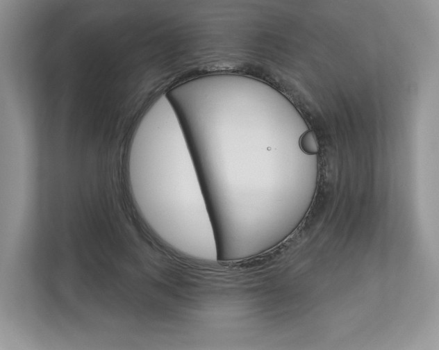 X0000112940743200908241006
