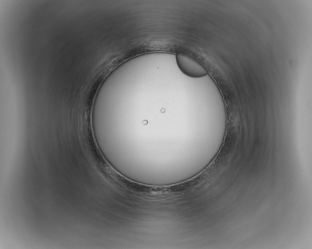 X0000112940744200908241006