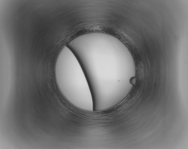 X0000112940747200908241006
