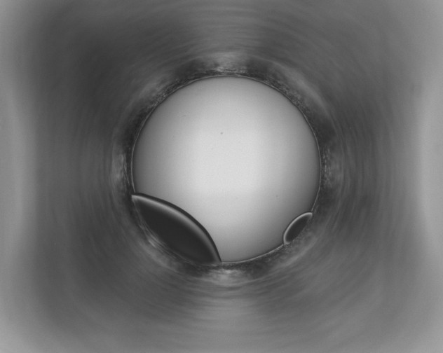 X0000112940748200908241006