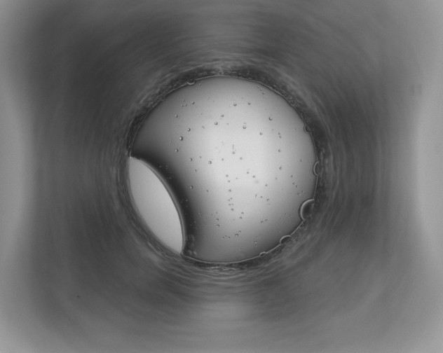 X0000112940750200908241006