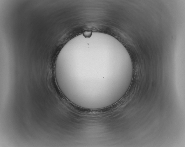 X0000112940751200908241006