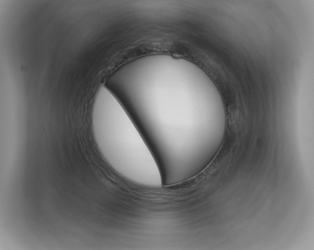 X0000112940752200908241006