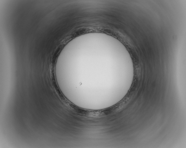 X0000112940757200908241006