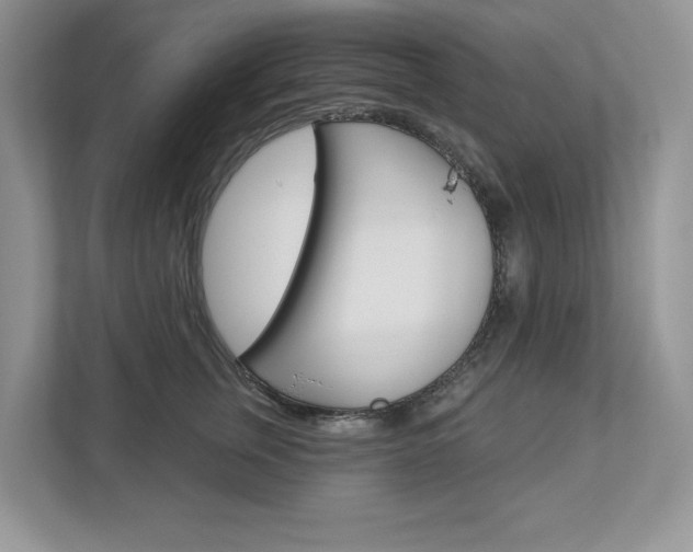 X0000112940759200908241007