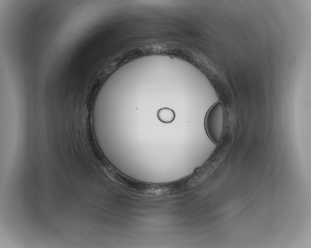 X0000112940760200908241007
