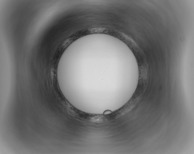 X0000112940761200908241007