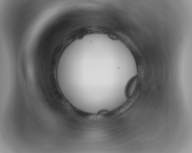 X0000112940762200908241007
