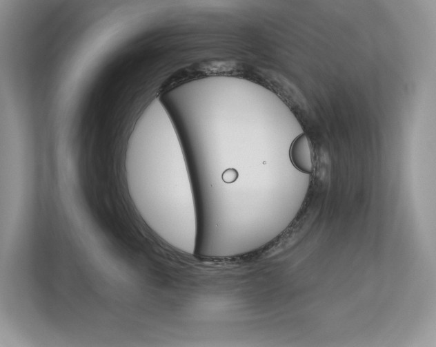 X0000112940763200908241007