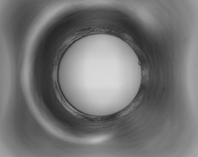X0000112940765200908241007