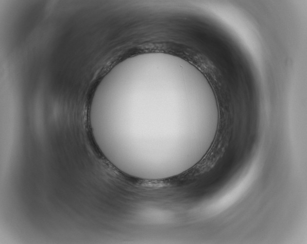 X0000112940767200908241007
