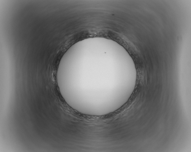 X0000112940770200908241006