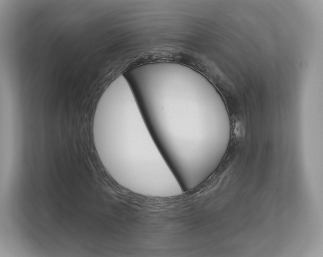 X0000112940771200908241006