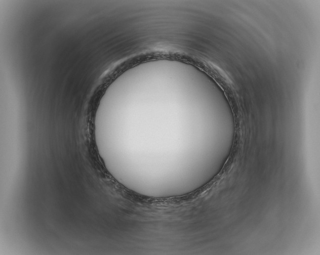 X0000112940776200908241006