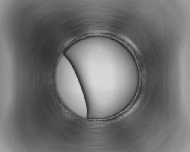 X0000112940777200908241006