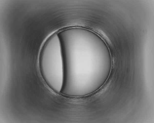 X0000112940780200908241006