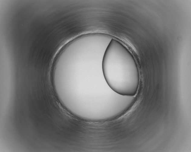 X0000112940781200908241006