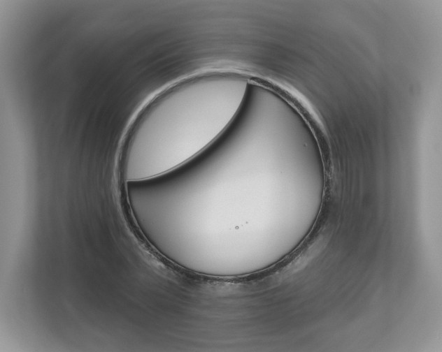 X0000112940783200908241006