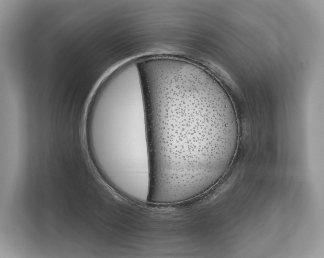 X0000112940784200908241006