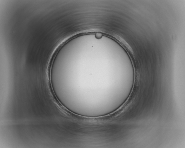 X0000112940789200908241006