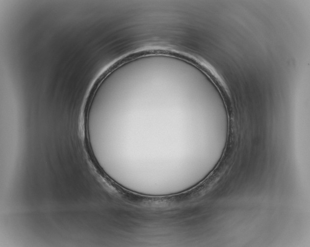 X0000112940791200908241006