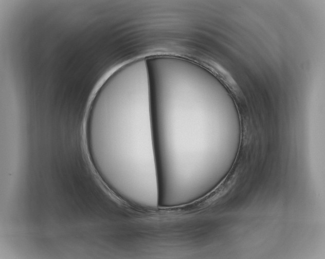 X0000112940796200908241006