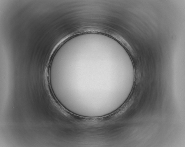 X0000112940798200908241006