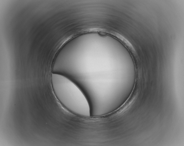 X0000112940801200908241006