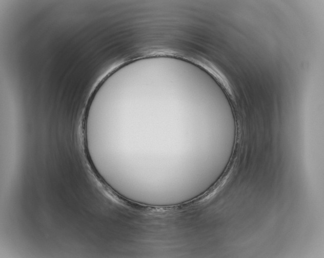 X0000112940806200908241006