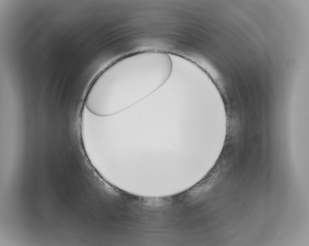 X0000112940807200908241006