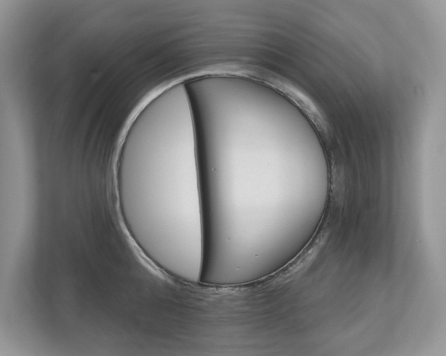 X0000112940808200908241006