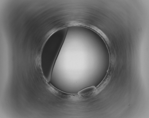 X0000112940809200908241005
