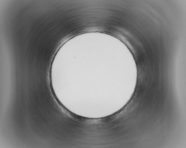 X0000112940810200908241005