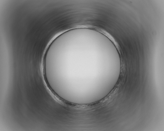 X0000112940811200908241005