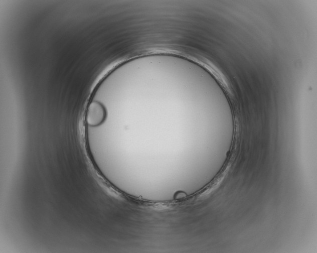 X0000112940814200908241005