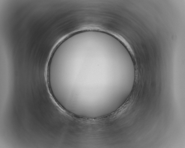 X0000112940815200908241005