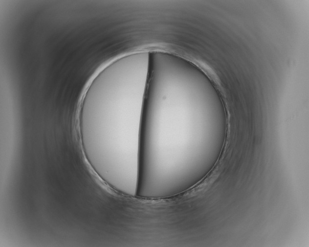 X0000112940816200908241005