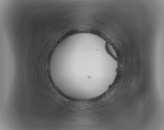 X0000112940817200908241005