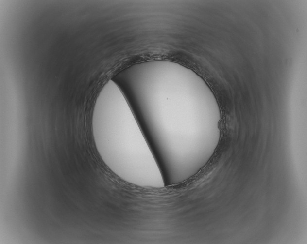 X0000112940818200908241005