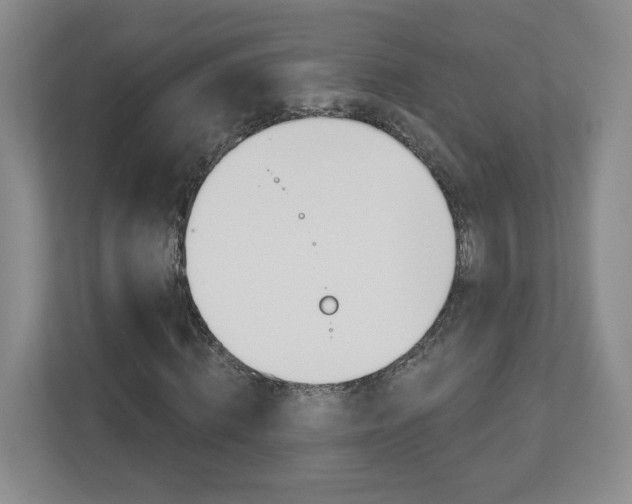 X0000112940820200908241005