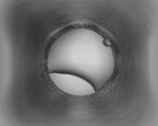 X0000112940822200908241005