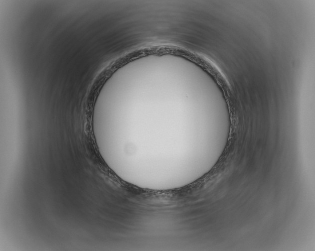 X0000112940823200908241005