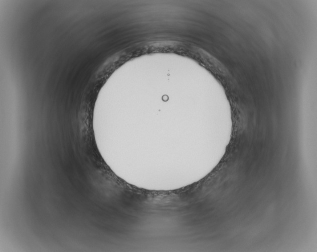X0000112940824200908241005