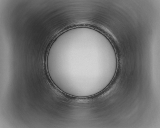 X0000112940825200908241005
