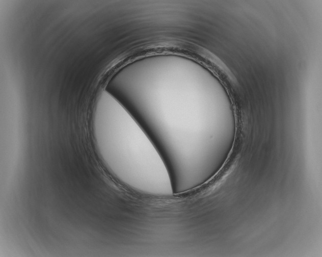 X0000112940826200908241005
