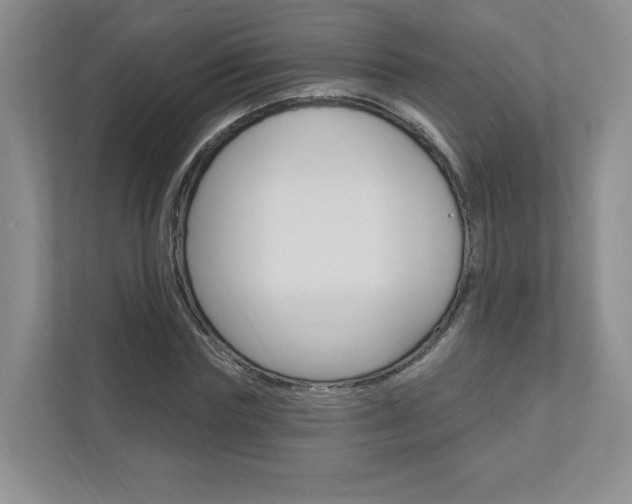 X0000112940827200908241005