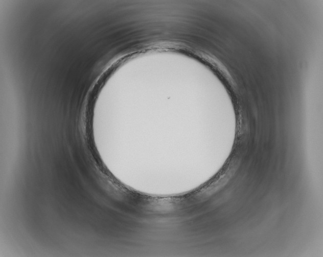 X0000112940828200908241005