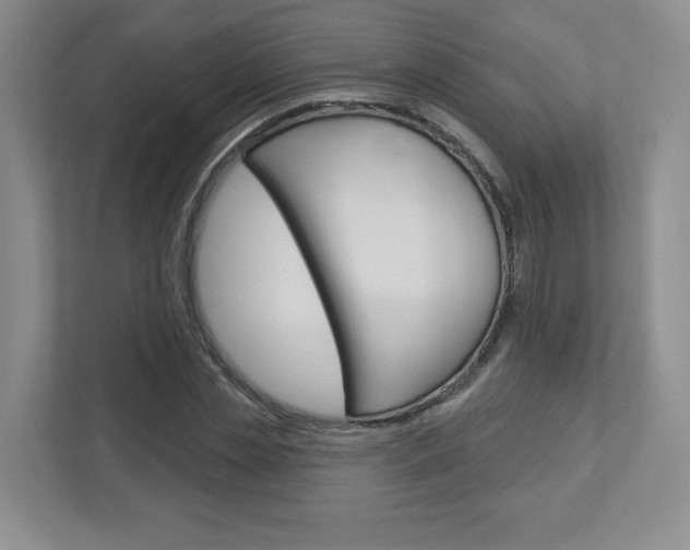 X0000112940829200908241005