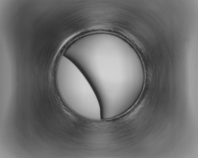 X0000112940830200908241005